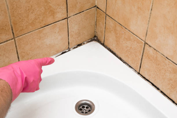 Best Mold Testing  in Newville, PA